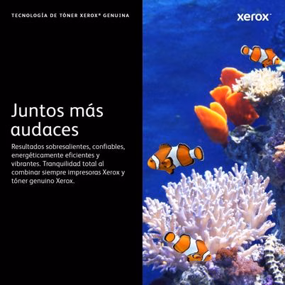 006R04381_etiqueta_11