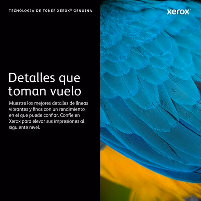 006R04677_etiqueta_3