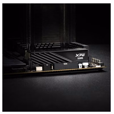 AX5U5600C4616G-SLABBK_etiqueta_3