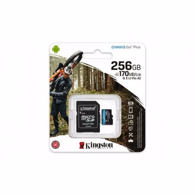 SDCG3/256GB_Imagen